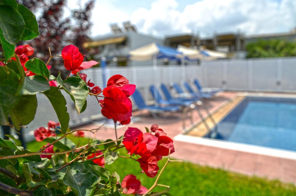 Oliv Apartments Platanias Chambre photo